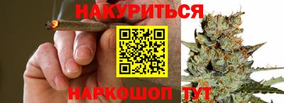 Альфа ПВП Будённовск